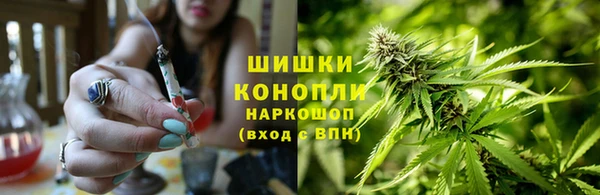скорость Гусев