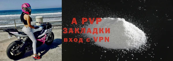 PSILOCYBIN Гусиноозёрск