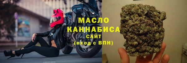скорость Гусев