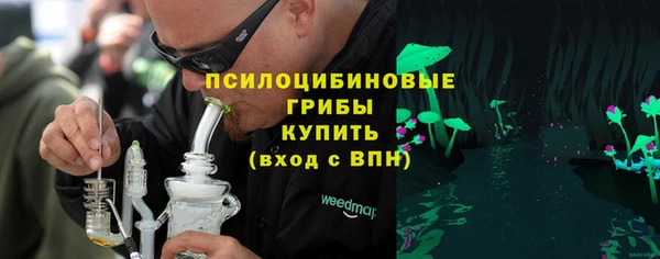 скорость Гусев