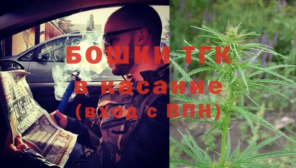 мдпв Гусь-Хрустальный