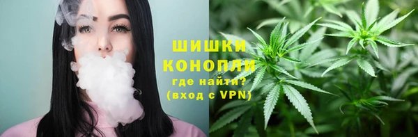 PSILOCYBIN Гусиноозёрск