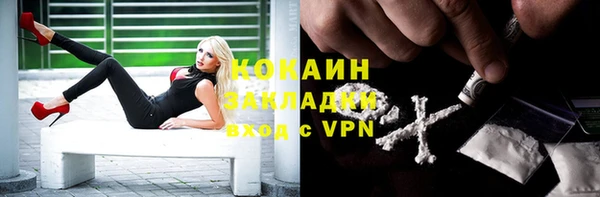 скорость Гусев