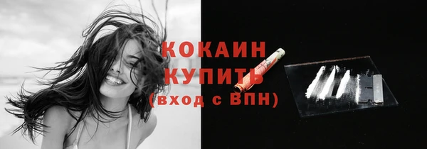 мдпв Гусь-Хрустальный