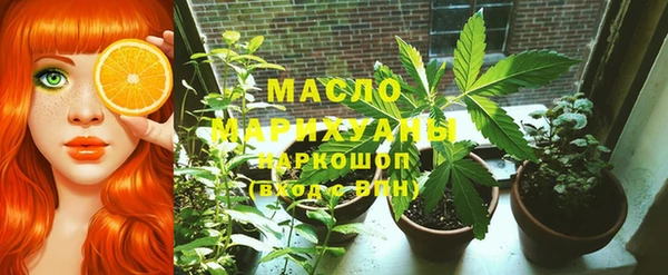 мдпв Гусь-Хрустальный