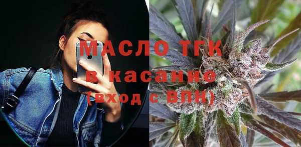 мдпв Гусь-Хрустальный