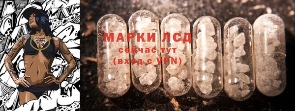 мдпв Гусь-Хрустальный