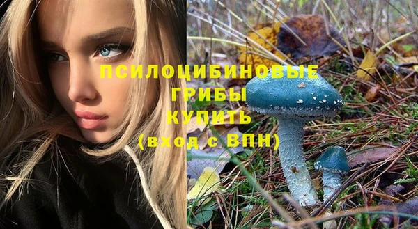 мдпв Гусь-Хрустальный