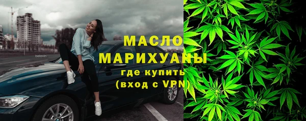 мдпв Гусь-Хрустальный