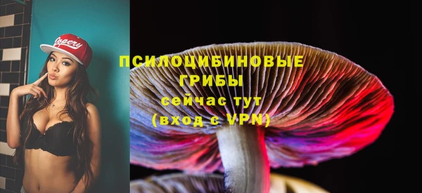 скорость Гусев