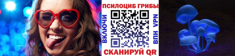 Купить где  Катав-Ивановск  Галлюциногенные грибы Psilocybine cubensis 